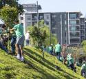 Volunteers plant trees during Earth Day